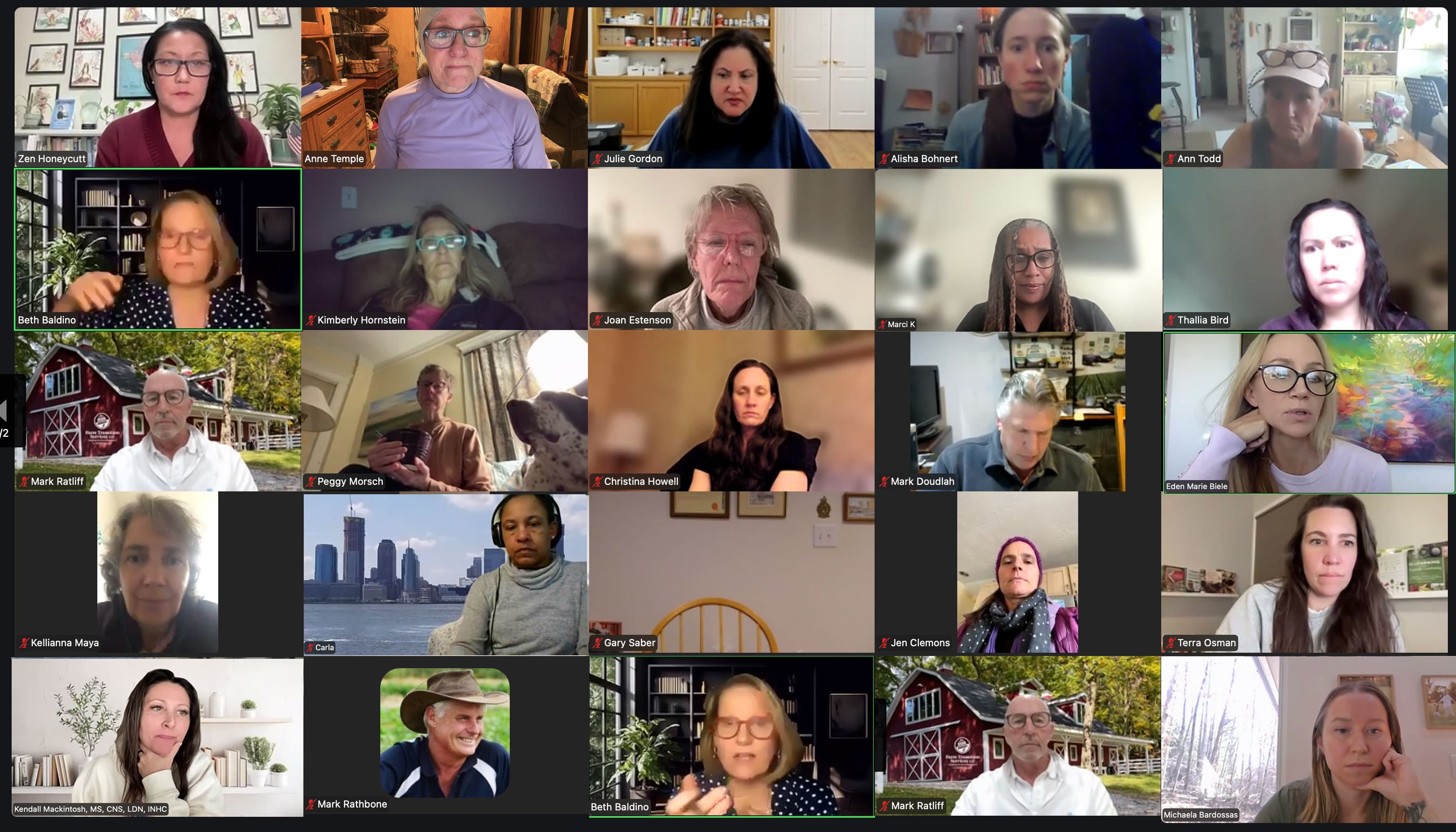 Moms Connect Call participants