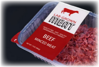 labgrownmeat2.jpg