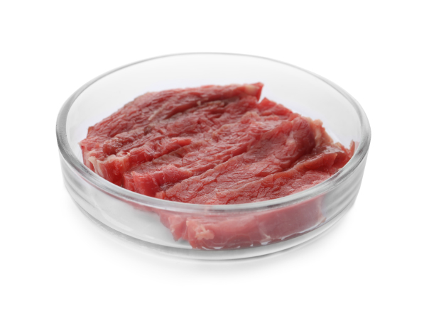 labmeat-petridish.jpg